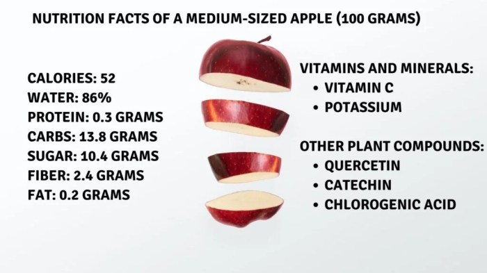 Apple slice nutrition facts